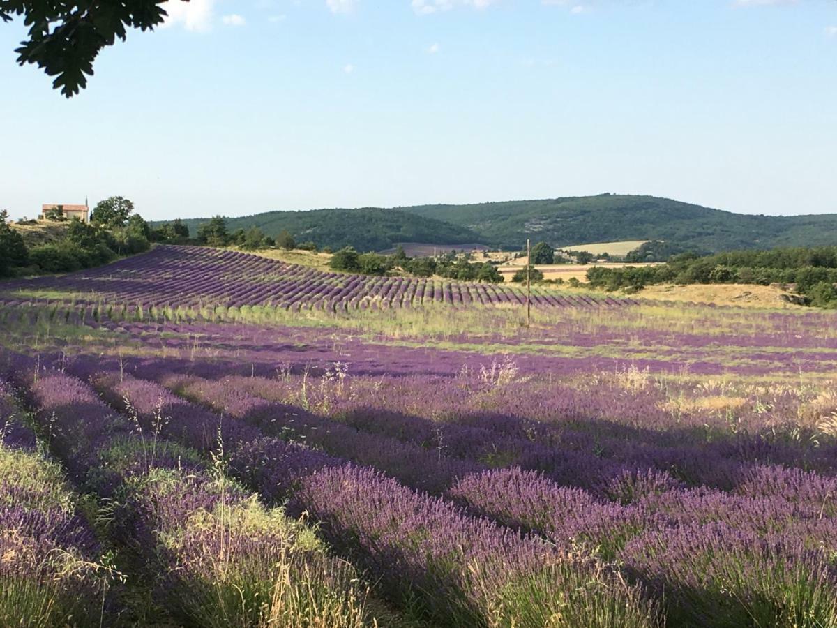 Villa Luberon Сен-Сатюрнен-д'Апт Экстерьер фото